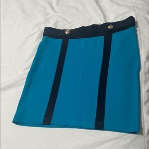 Elegant Blue Women's Skirt